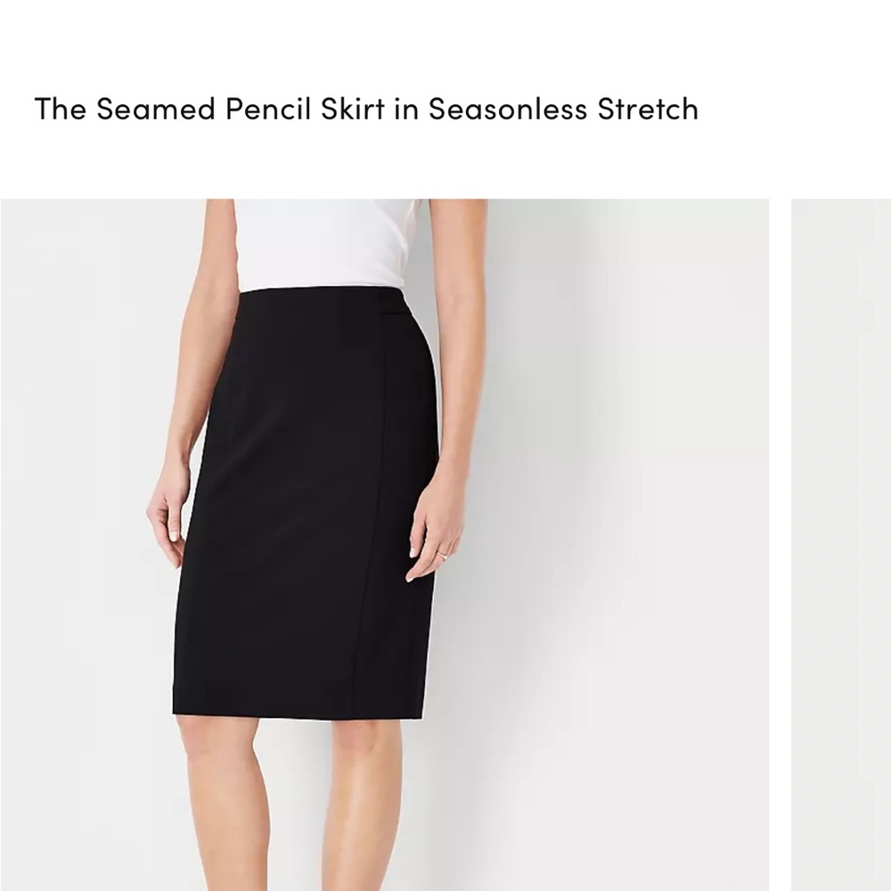 Ann Taylor Seamed Pencil Skirt NEW WITH TAGS